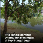 Pohon mangga di tepi Sungai Jagir Surabaya, lokasi ditemukannya pria tanpa identitas yang meninggal dunia, Selasa 20 Oktober 2026