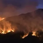 Kobaran api kebakaran hutan dan lahan di kawasan Taman Nasional Bromo Tengger Semeru