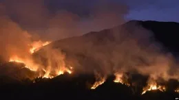 Kobaran api kebakaran hutan dan lahan di kawasan Taman Nasional Bromo Tengger Semeru