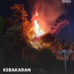 Kobaran api kebakaran lahan di Lambangan, Wonoayu, Sidoarjo, Senin malam