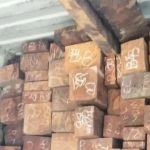 Tumpukan kayu merbau hasil pembalakan ilegal di dalam kontainer di Terminal Berlian, Pelabuhan Tanjung Perak Surabaya, Rabu 21 Oktober 2026