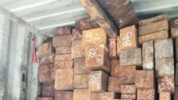 Tumpukan kayu merbau hasil pembalakan ilegal di dalam kontainer di Terminal Berlian, Pelabuhan Tanjung Perak Surabaya, Rabu 21 Oktober 2026