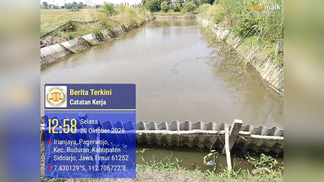 Kolam ketahanan pangan Desa Pagerwojo Buduran Sidoarjo berdinding asbes yang mangkrak