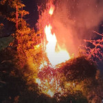 Kobaran api kebakaran lahan di Lambangan, Wonoayu, Sidoarjo, Senin malam