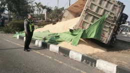 Truk tronton bermuatan jagung terguling di Simpang 3 Bypass Balongbendo Sidoarjo, muatan jagung tumpah ke jalan.